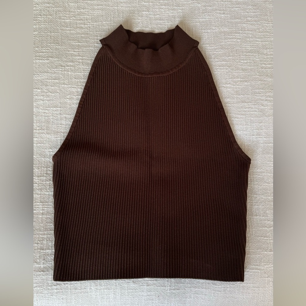 Aritzia Babaton Sculpt Knit High Neck Tank Brown